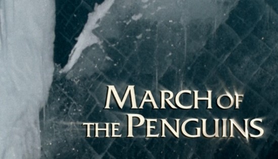 Luc Jacquet's - March of the Penguins - DVD Review Marche de l'empereur